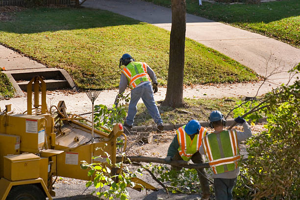 Best Lawn Watering Services  in Keuka Park, NY